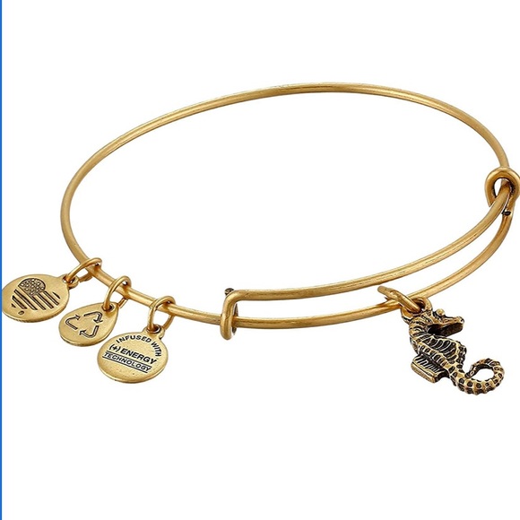 Alex and Ani Jewelry - Alex and Ani Seahorse Bracelet